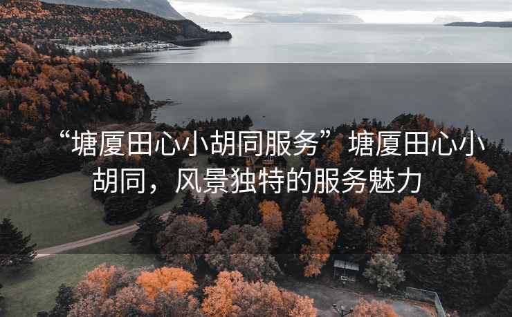 “塘廈田心小胡同服務(wù)”塘廈田心小胡同，風(fēng)景獨特的服務(wù)魅力