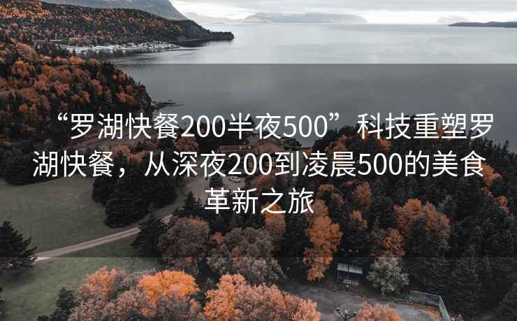 “羅湖快餐200半夜500”科技重塑羅湖快餐，從深夜200到凌晨500的美食革新之旅