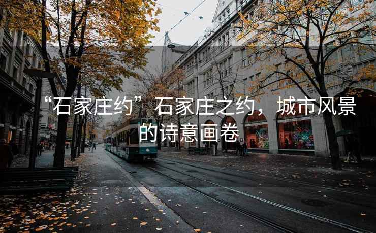 “石家莊約”石家莊之約，城市風(fēng)景的詩意畫卷
