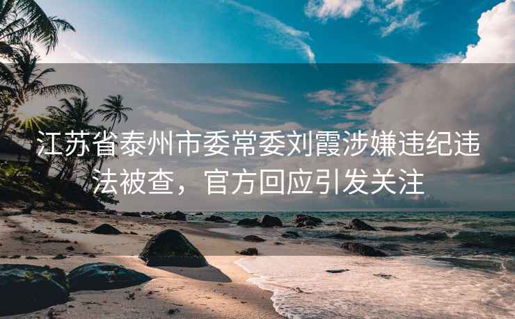 江蘇省泰州市委常委劉霞涉嫌違紀(jì)違法被查，官方回應(yīng)引發(fā)關(guān)注