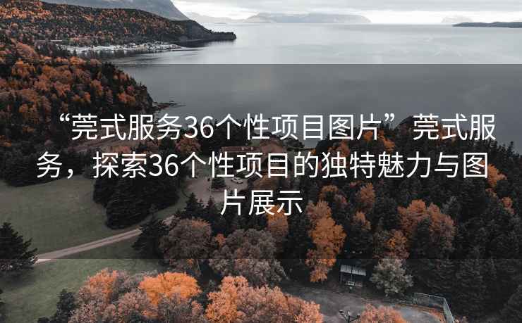 “莞式服務(wù)36個性項目圖片”莞式服務(wù)，探索36個性項目的獨特魅力與圖片展示