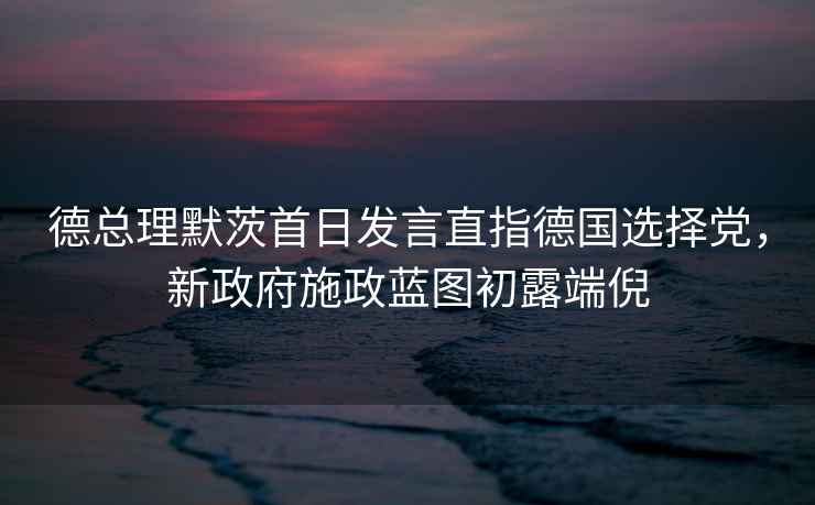 德總理默茨首日發(fā)言直指德國選擇黨，新政府施政藍圖初露端倪