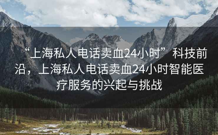 “上海私人電話賣(mài)血24小時(shí)”科技前沿，上海私人電話賣(mài)血24小時(shí)智能醫(yī)療服務(wù)的興起與挑戰(zhàn)