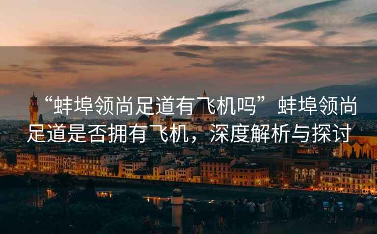 “蚌埠領(lǐng)尚足道有飛機嗎”蚌埠領(lǐng)尚足道是否擁有飛機，深度解析與探討