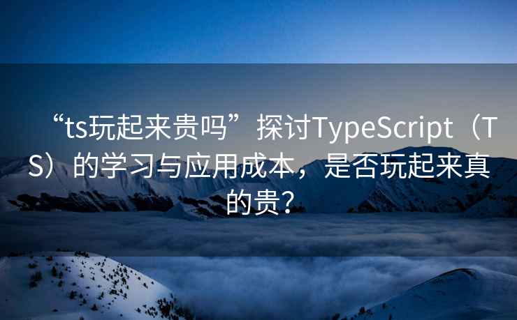 “ts玩起來貴嗎”探討TypeScript（TS）的學(xué)習(xí)與應(yīng)用成本，是否玩起來真的貴？
