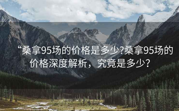 “桑拿95場的價格是多少?桑拿95場的價格深度解析，究竟是多少？