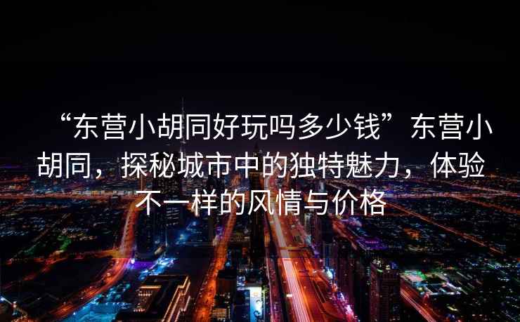“東營小胡同好玩嗎多少錢”東營小胡同，探秘城市中的獨(dú)特魅力，體驗(yàn)不一樣的風(fēng)情與價格