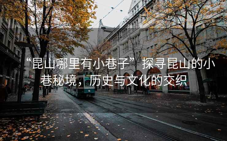 “昆山哪里有小巷子”探尋昆山的小巷秘境，歷史與文化的交織