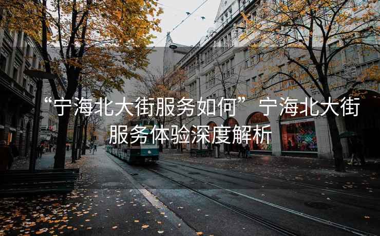 “寧海北大街服務(wù)如何”寧海北大街服務(wù)體驗(yàn)深度解析