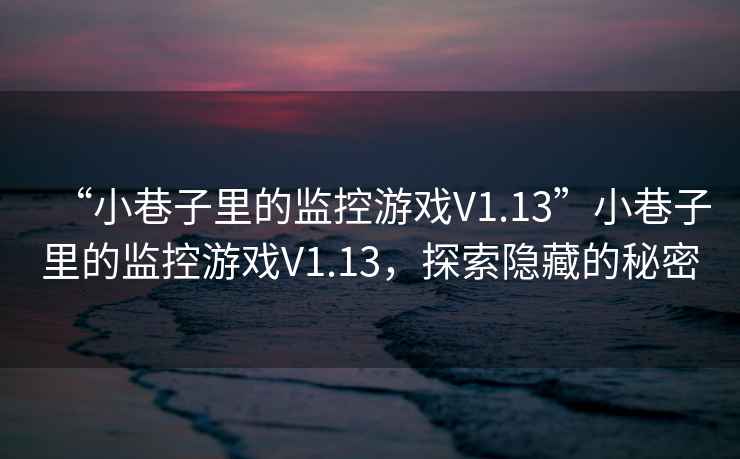 “小巷子里的監(jiān)控游戲V1.13”小巷子里的監(jiān)控游戲V1.13，探索隱藏的秘密
