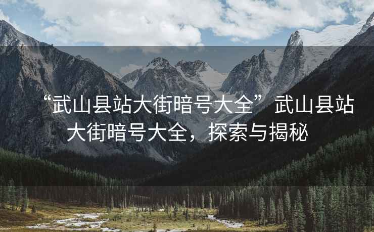 “武山縣站大街暗號(hào)大全”武山縣站大街暗號(hào)大全，探索與揭秘