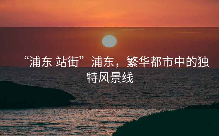 “浦東 站街”浦東，繁華都市中的獨特風(fēng)景線