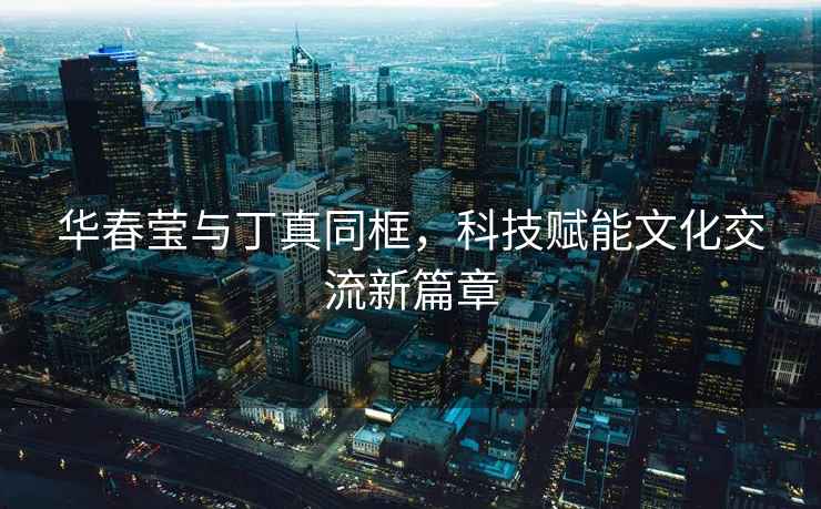華春瑩與丁真同框，科技賦能文化交流新篇章