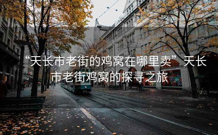 “天長市老街的雞窩在哪里賣”天長市老街雞窩的探尋之旅