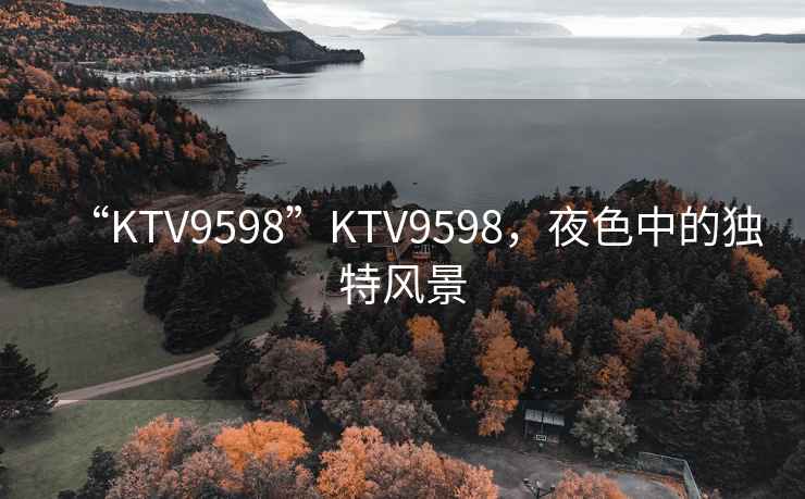“KTV9598”KTV9598，夜色中的獨特風(fēng)景