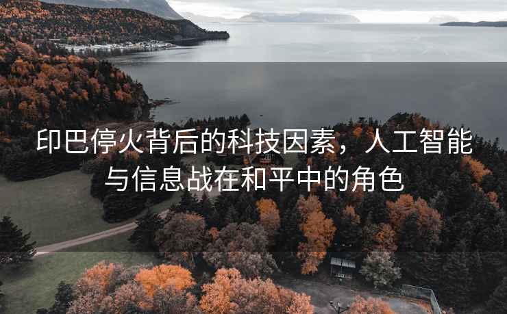 印巴?；鸨澈蟮目萍家蛩兀斯ぶ悄芘c信息戰(zhàn)在和平中的角色