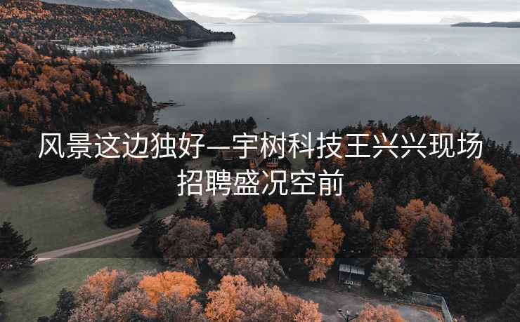 風景這邊獨好—宇樹科技王興興現(xiàn)場招聘盛況空前