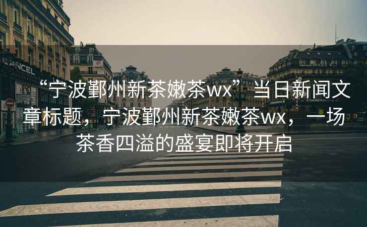 “寧波鄞州新茶嫩茶wx”當(dāng)日新聞文章標(biāo)題，寧波鄞州新茶嫩茶wx，一場茶香四溢的盛宴即將開啟