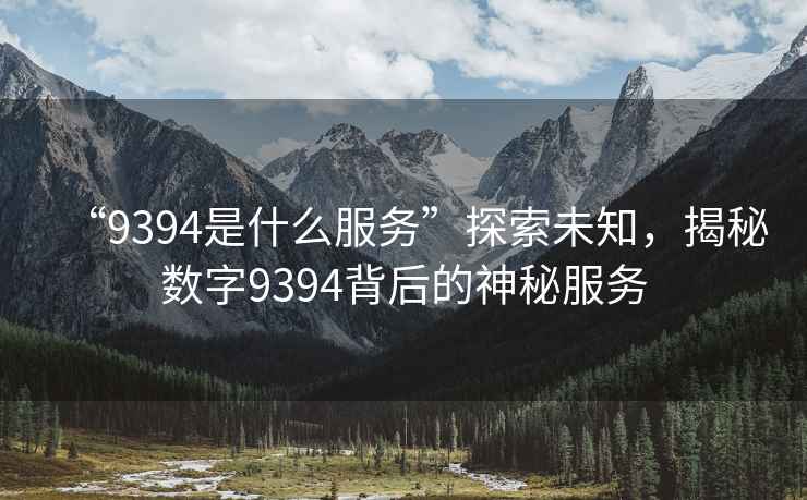 “9394是什么服務(wù)”探索未知，揭秘數(shù)字9394背后的神秘服務(wù)