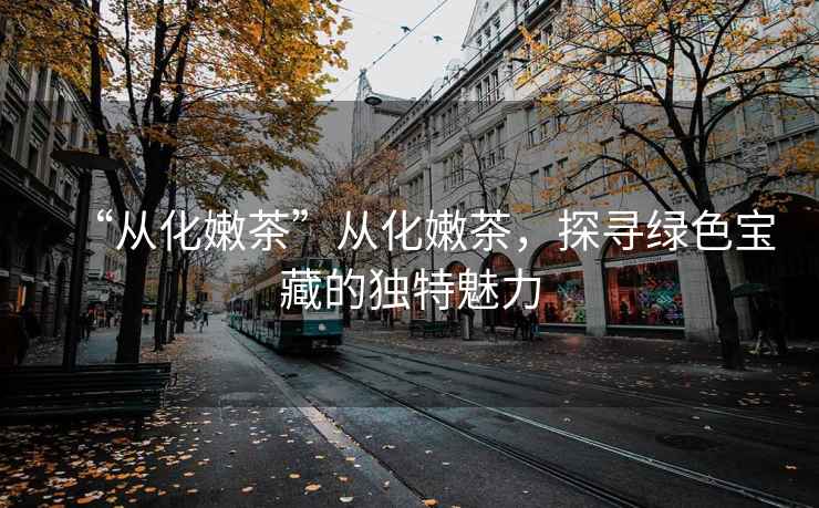 “從化嫩茶”從化嫩茶，探尋綠色寶藏的獨(dú)特魅力