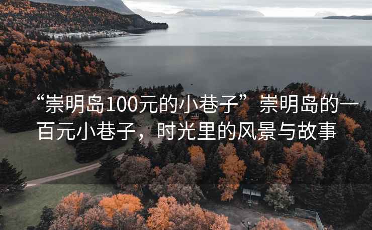 “崇明島100元的小巷子”崇明島的一百元小巷子，時光里的風(fēng)景與故事