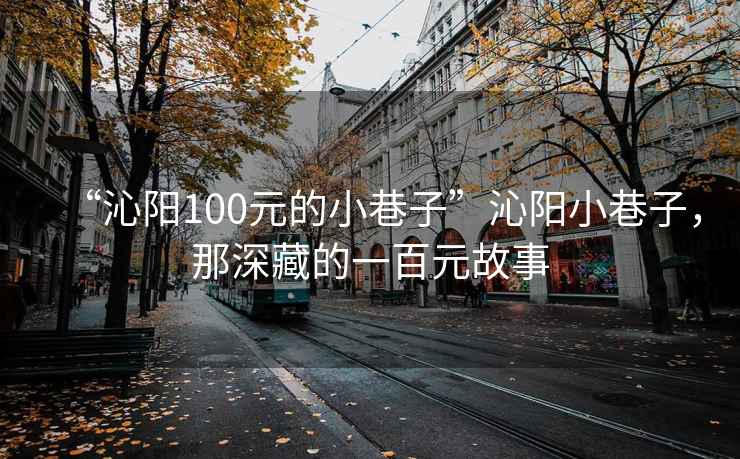 “沁陽100元的小巷子”沁陽小巷子，那深藏的一百元故事