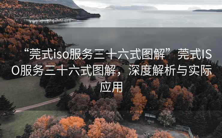 “莞式iso服務(wù)三十六式圖解”莞式ISO服務(wù)三十六式圖解，深度解析與實際應(yīng)用