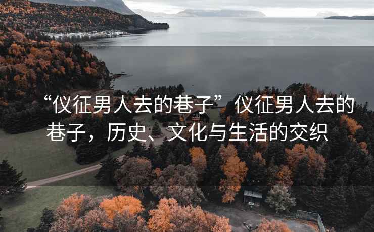 “儀征男人去的巷子”儀征男人去的巷子，歷史、文化與生活的交織