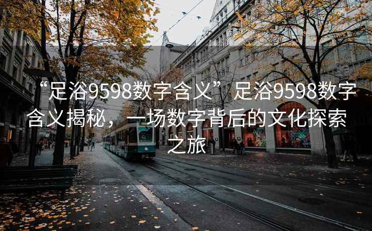 “足浴9598數(shù)字含義”足浴9598數(shù)字含義揭秘，一場數(shù)字背后的文化探索之旅