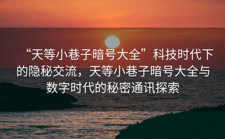 “天等小巷子暗號(hào)大全”科技時(shí)代下的隱秘交流，天等小巷子暗號(hào)大全與數(shù)字時(shí)代的秘密通訊探索