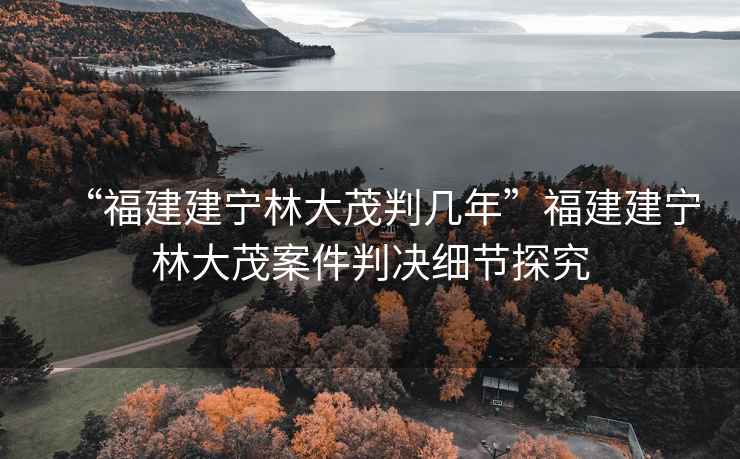 “福建建寧林大茂判幾年”福建建寧林大茂案件判決細節(jié)探究