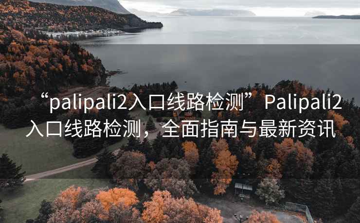 “palipali2入口線路檢測”Palipali2入口線路檢測，全面指南與最新資訊