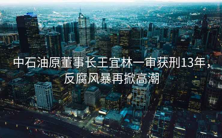 中石油原董事長王宜林一審獲刑13年，反腐風暴再掀高潮