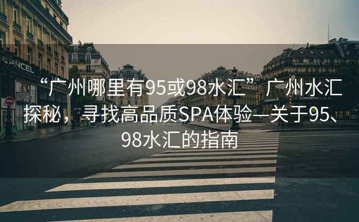 “廣州哪里有95或98水匯”廣州水匯探秘，尋找高品質(zhì)SPA體驗(yàn)—關(guān)于95、98水匯的指南