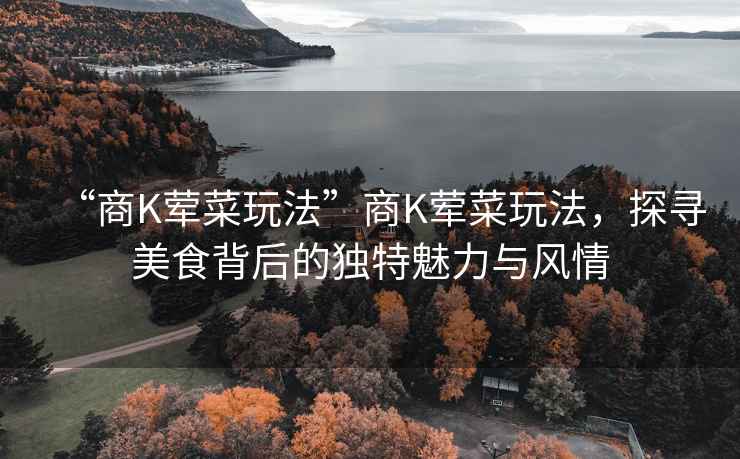 “商K葷菜玩法”商K葷菜玩法，探尋美食背后的獨(dú)特魅力與風(fēng)情