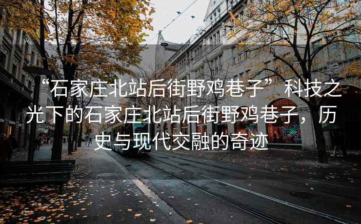 “石家莊北站后街野雞巷子”科技之光下的石家莊北站后街野雞巷子，歷史與現(xiàn)代交融的奇跡