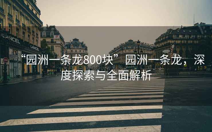 “園洲一條龍800塊”園洲一條龍，深度探索與全面解析