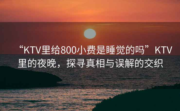 “KTV里給800小費(fèi)是睡覺的嗎”KTV里的夜晚，探尋真相與誤解的交織