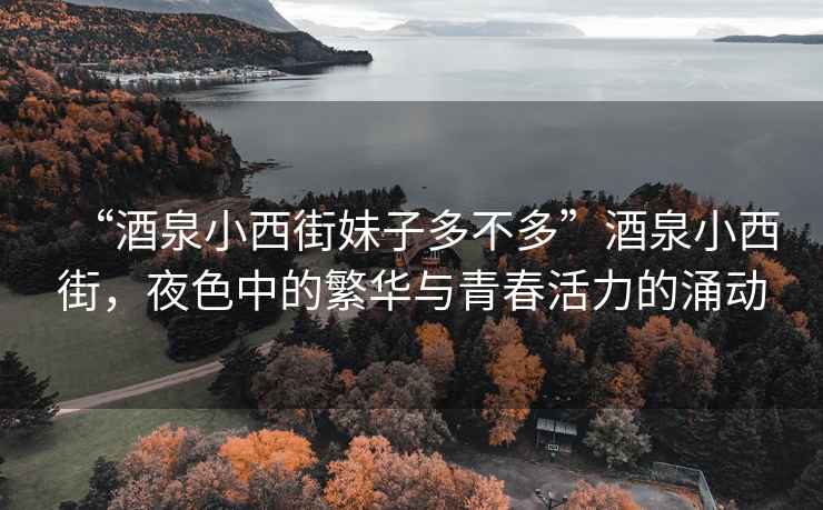 “酒泉小西街妹子多不多”酒泉小西街，夜色中的繁華與青春活力的涌動