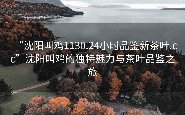 “沈陽叫雞1130.24小時品鑒新茶葉.cc”沈陽叫雞的獨特魅力與茶葉品鑒之旅