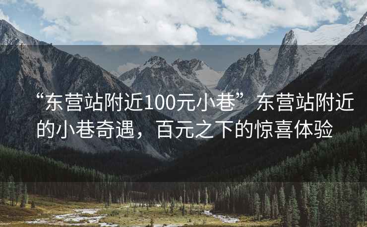 “東營站附近100元小巷”東營站附近的小巷奇遇，百元之下的驚喜體驗