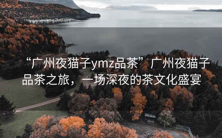 “廣州夜貓子ymz品茶”廣州夜貓子品茶之旅，一場深夜的茶文化盛宴