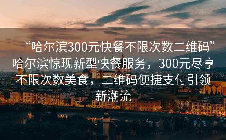 “哈爾濱300元快餐不限次數(shù)二維碼”哈爾濱驚現(xiàn)新型快餐服務(wù)，300元盡享不限次數(shù)美食，二維碼便捷支付引領(lǐng)新潮流