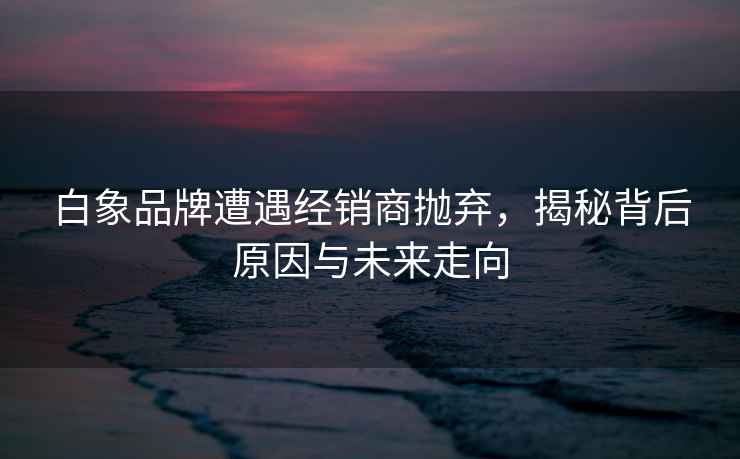 白象品牌遭遇經(jīng)銷(xiāo)商拋棄，揭秘背后原因與未來(lái)走向