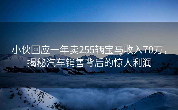小伙回應一年賣255輛寶馬收入70萬，揭秘汽車銷售背后的驚人利潤