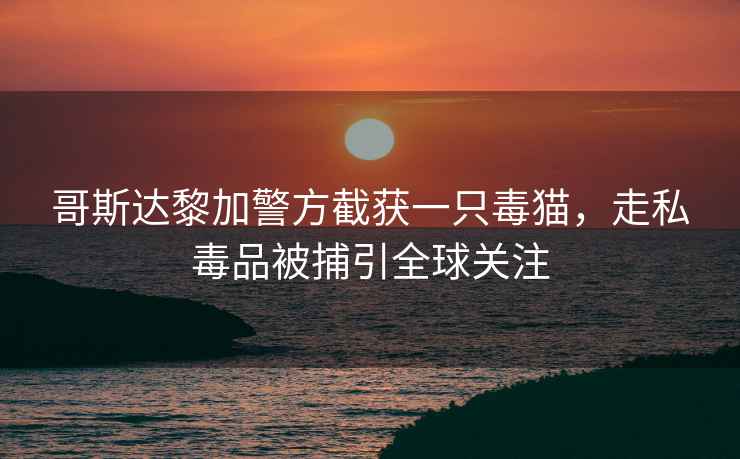 哥斯達(dá)黎加警方截獲一只毒貓，走私毒品被捕引全球關(guān)注