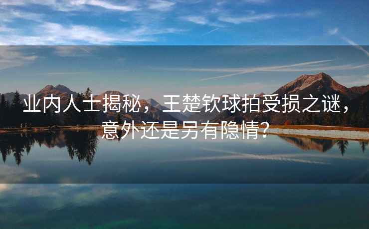 業(yè)內(nèi)人士揭秘，王楚欽球拍受損之謎，意外還是另有隱情？