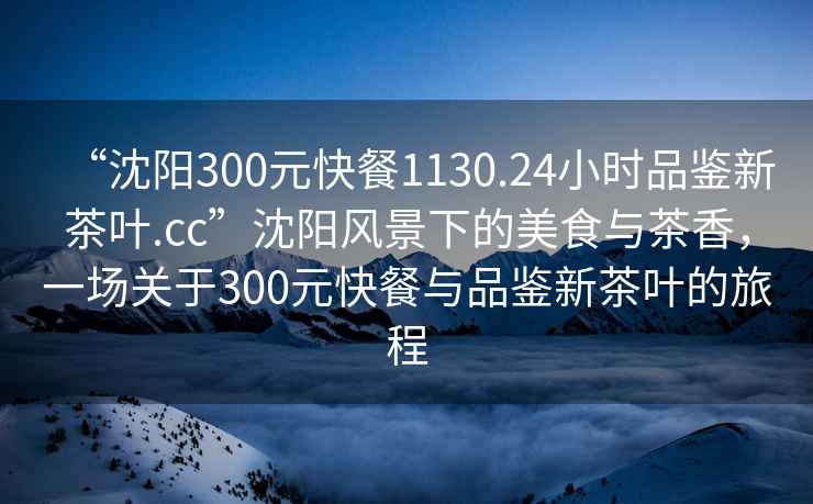 “沈陽(yáng)300元快餐1130.24小時(shí)品鑒新茶葉.cc”沈陽(yáng)風(fēng)景下的美食與茶香，一場(chǎng)關(guān)于300元快餐與品鑒新茶葉的旅程