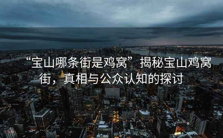 “寶山哪條街是雞窩”揭秘寶山雞窩街，真相與公眾認(rèn)知的探討