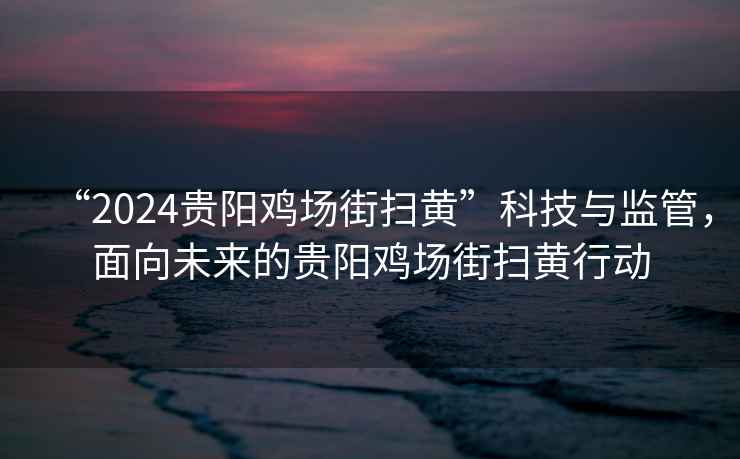 “2024貴陽(yáng)雞場(chǎng)街掃黃”科技與監(jiān)管，面向未來(lái)的貴陽(yáng)雞場(chǎng)街掃黃行動(dòng)